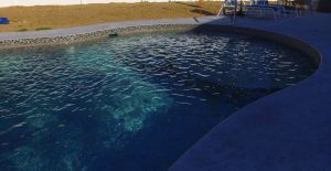 Tile-Coping-009